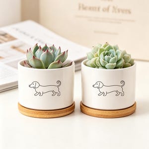 Gepersonaliseerde keramische plantenpot, op maat gemaakte keramische pot voor vetplanten met teckelmotief, teckel-herdenkingspot, cadeau-idee voor hondenliefhebber