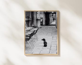 Venice Dog Wall Art, Black and White Italian Street Photography, Cute Dachshund Cafe Poster, European City Decor, Digital Download