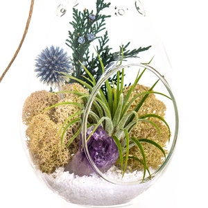 Air Plant Terrarium Kit with Purple Amethyst Crystal / Shabby Chic image 5