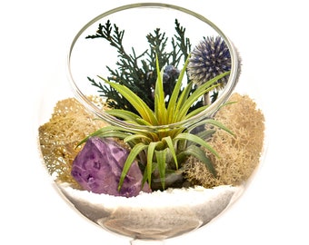 Air Plant Terrarium with Purple Amethyst Crystal / 4" Round Glass Pedestal / Shabby Chic