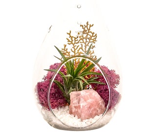 Air Plant Terrarium Kit with Rose Quartz / 7" Teardrop Glass / Angel's Garden