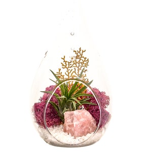 Air Plant Terrarium Kit with Rose Quartz / 7" Teardrop Glass / Angel's Garden