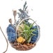 see more listings in the Air Plant Terrariums section