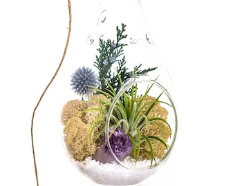Air Plant Terrarium Kit with Purple Amethyst Crystal / Shabby Chic