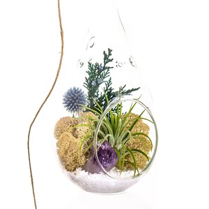 Air Plant Terrarium Kit with Purple Amethyst Crystal / Shabby Chic image 1