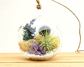 Air Plant Terrarium Kit with Purple Amethyst Crystal / Shabby Chic