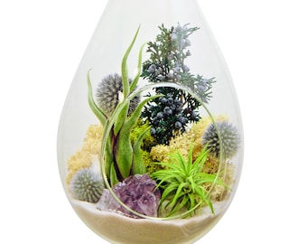 Large Hanging Air Plant Terrarium with Amethyst Crystal / 13" Teardrop Shabby Chic