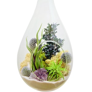 Large Hanging Air Plant Terrarium Kit with Amethyst Crystal / 13 Teardrop Shabby Chic Kit image 2