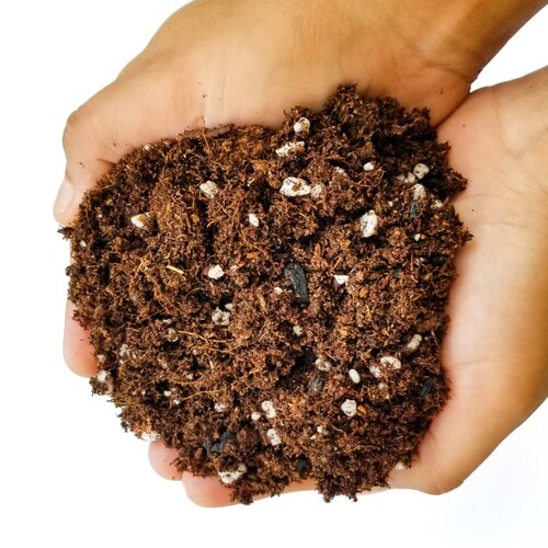 Premium Organic Potting Soil Mix 1 Gallon Great for Etsy