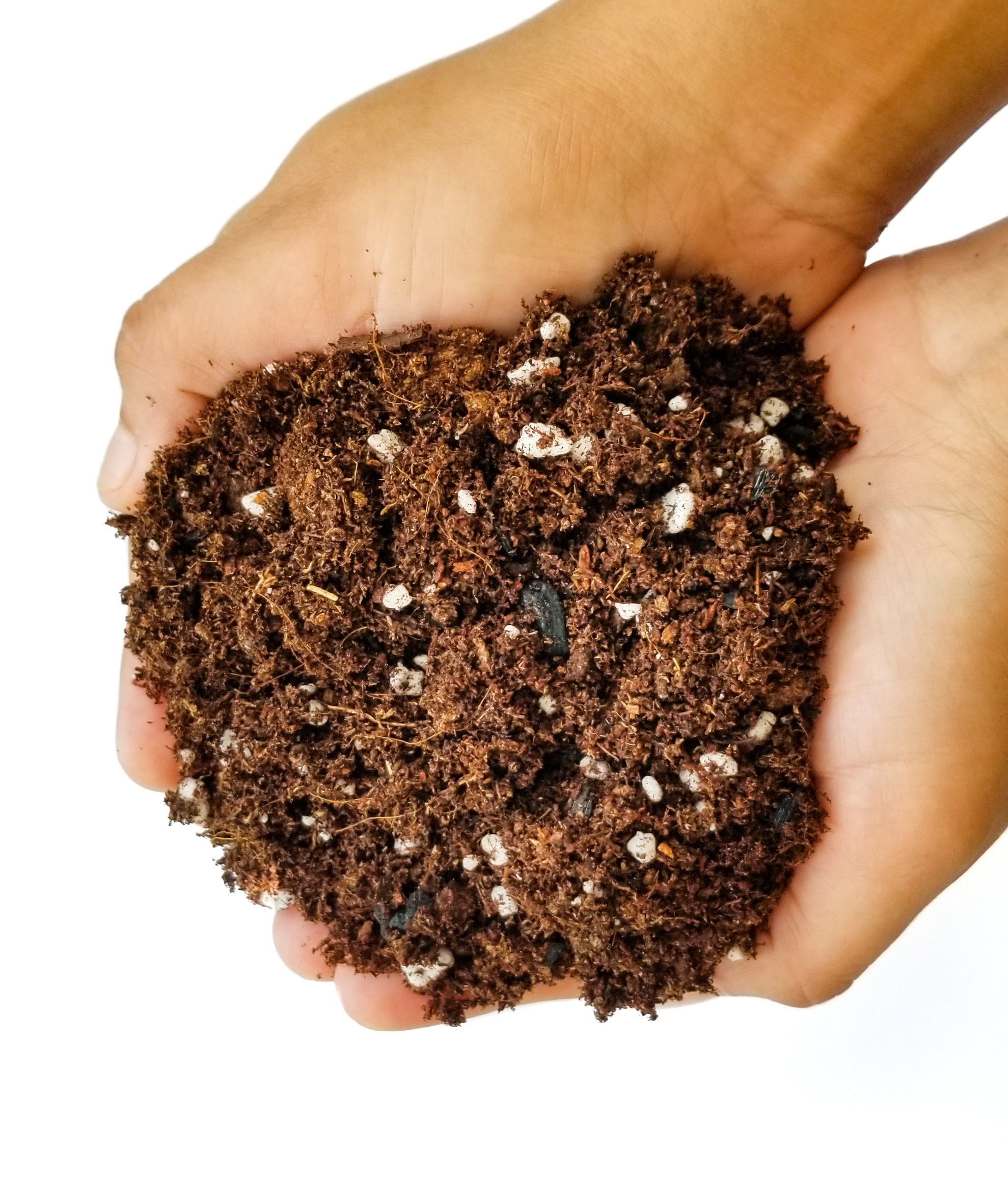 Image of Potting soil image 1