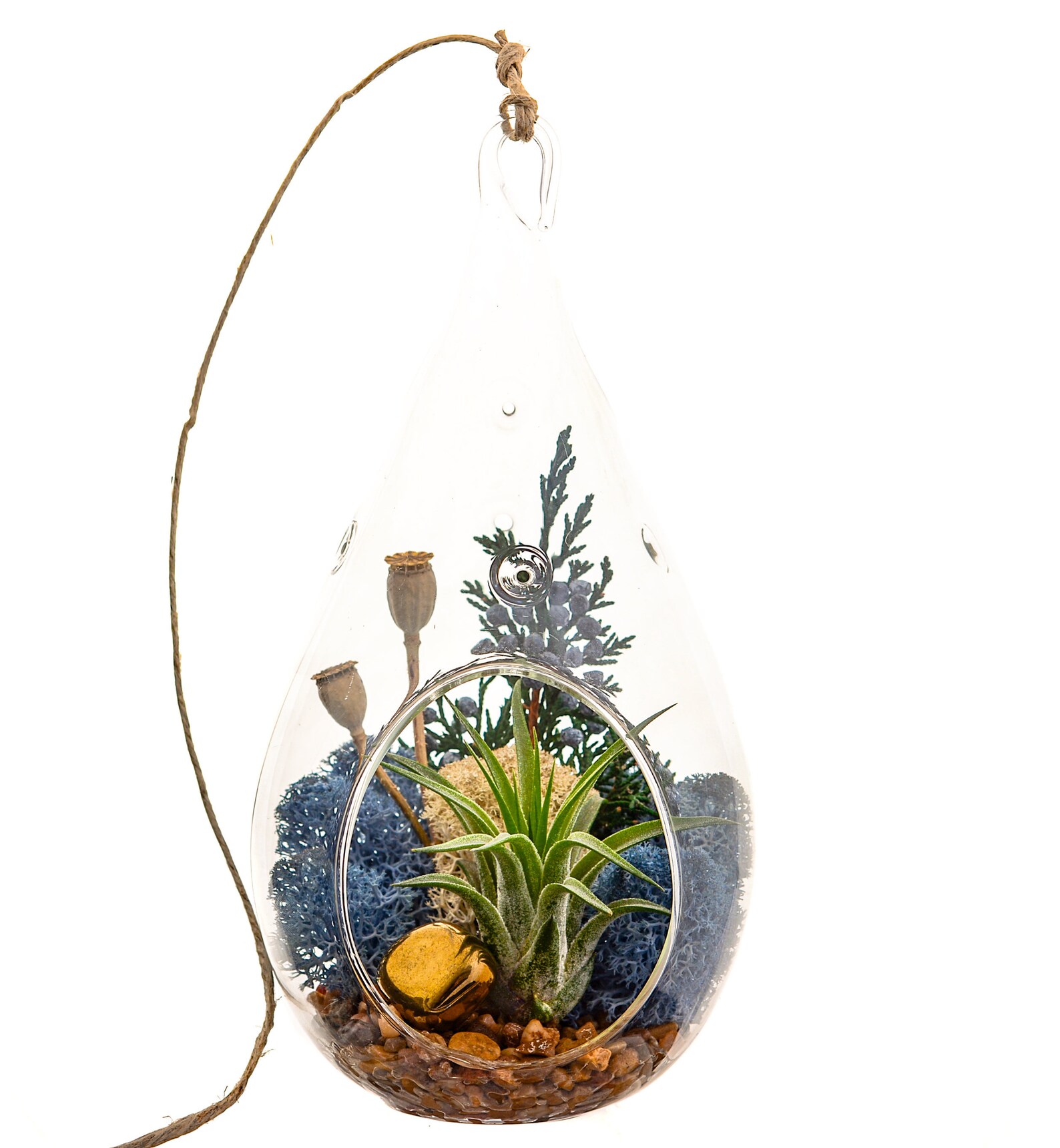 Air Plant Terrarium Kit with Gold Hematite Juniper & Moss / Etsy