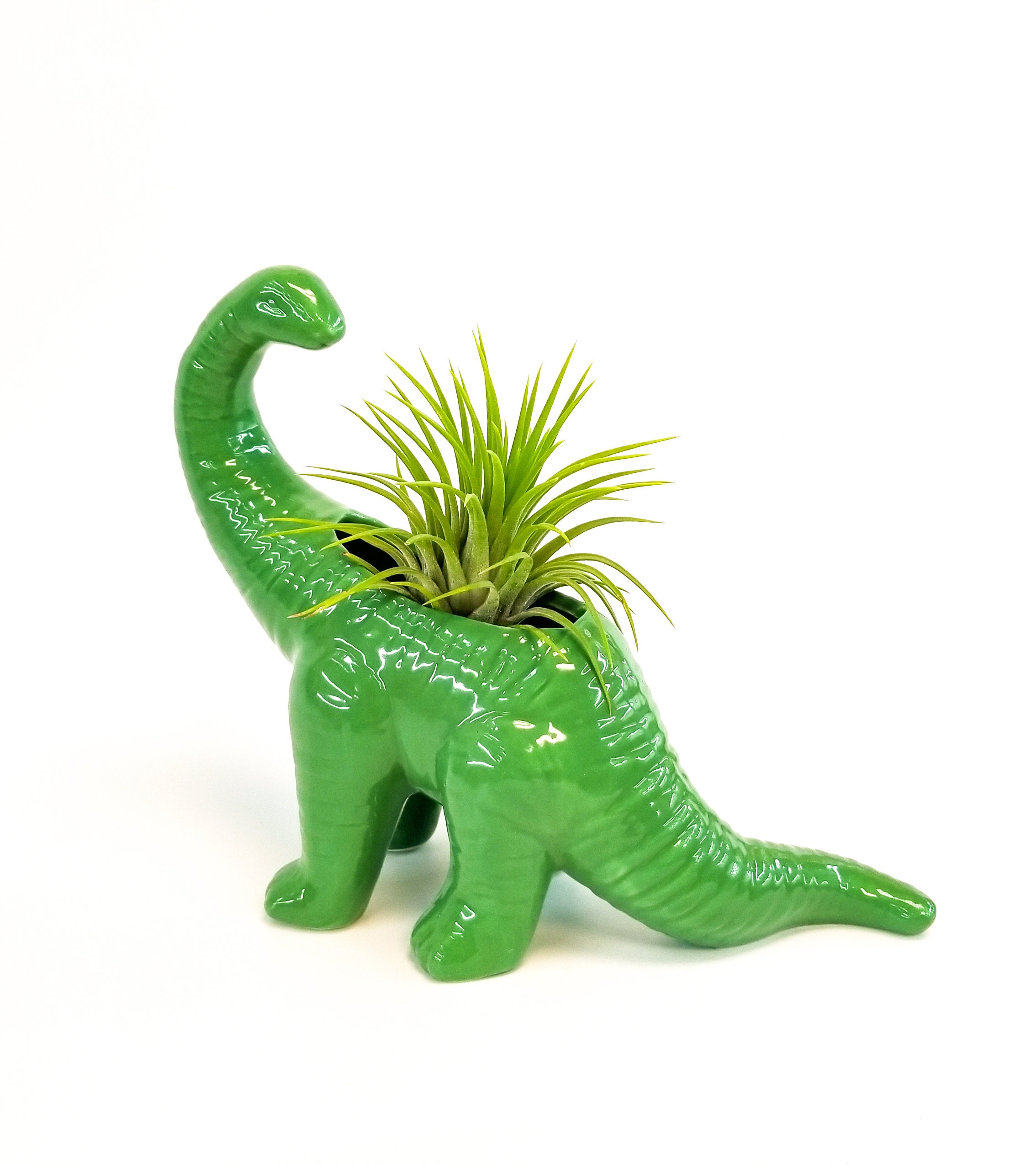 Indoor Planters Home & Living Dinosaur Plant Pot mindtek.it