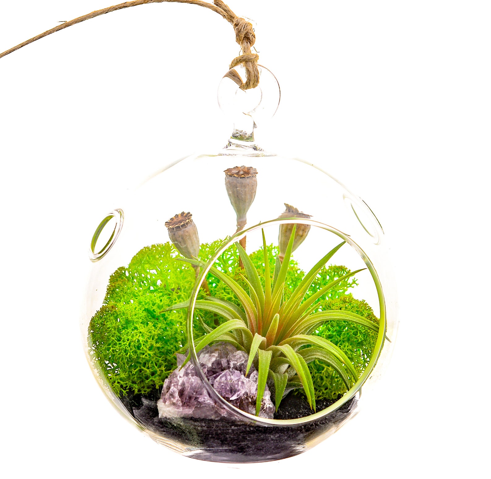 Air Plant Terrarium Kit With Purple Amethyst Crystal / Etsy