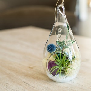 Air Plant Terrarium Kit with Purple Amethyst Crystal / Shabby Chic image 4