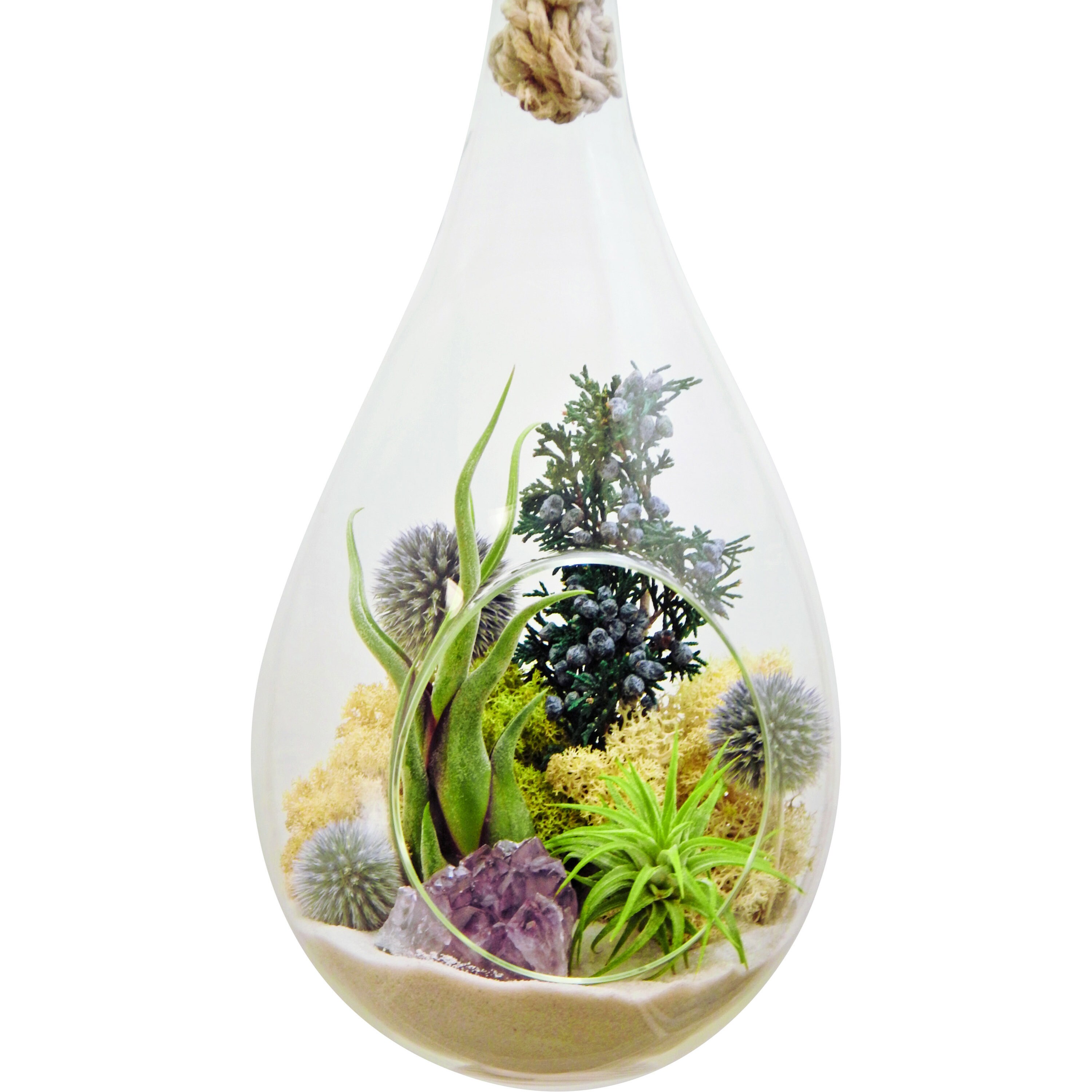 Large Hanging Air Plant Terrarium Kit With Amethyst Crystal / Etsy