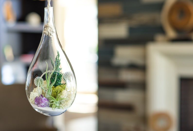 Large Hanging Air Plant Terrarium Kit with Amethyst Crystal / 13 Teardrop Shabby Chic Kit image 3