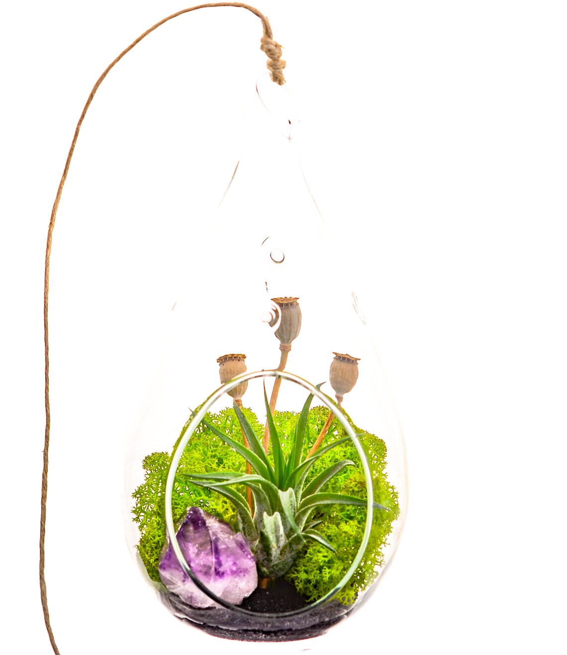 Air Plant Terrarium Kit With Purple Amethyst Crystal / Etsy