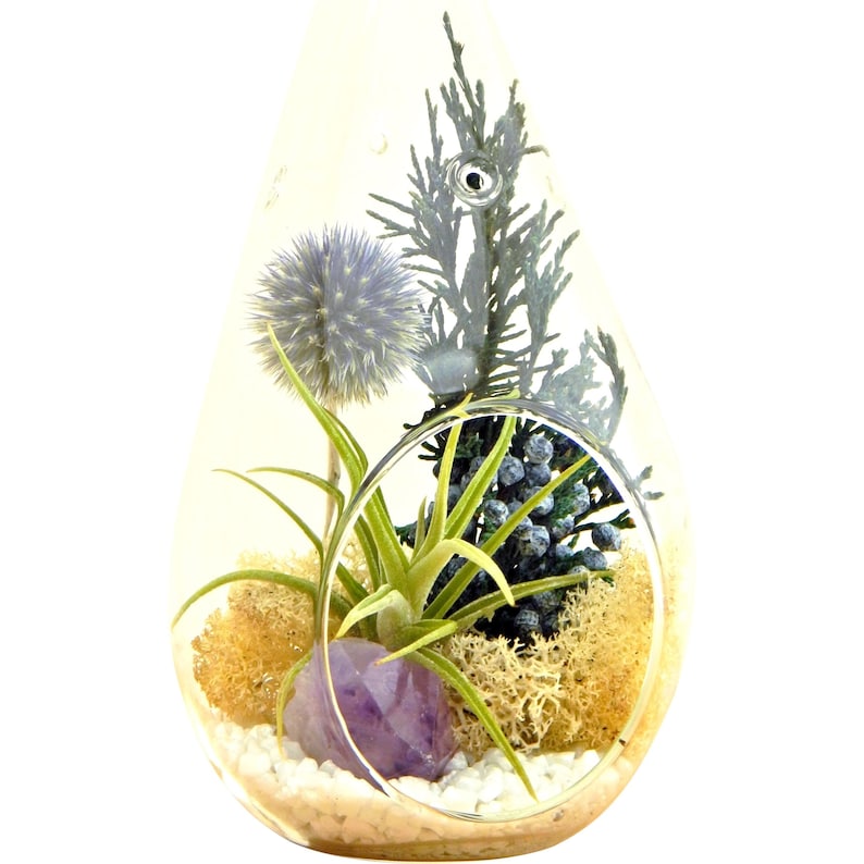 Air Plant Terrarium Kit with Purple Amethyst Crystal / Shabby Chic image 3