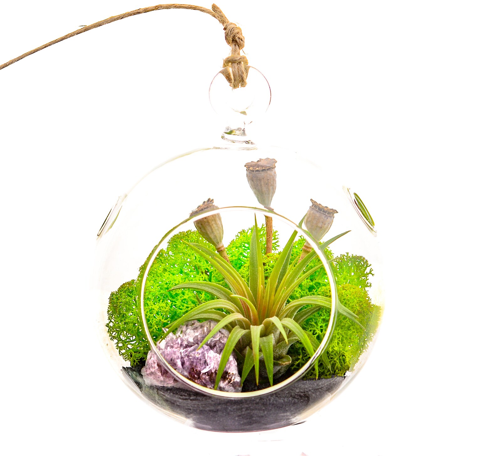 Air Plant Terrarium Kit With Purple Amethyst Crystal / Etsy