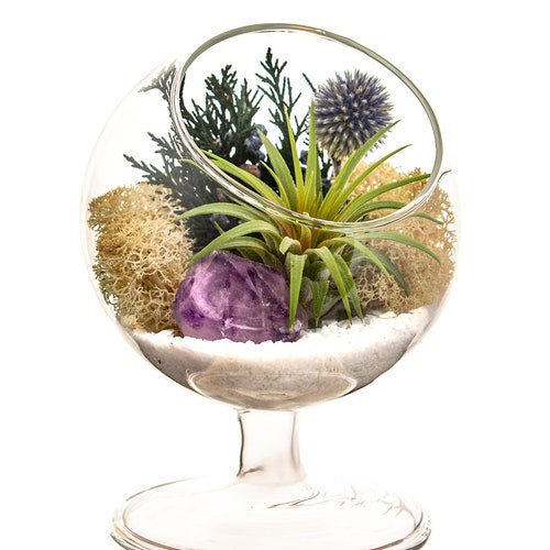 Mini Air Plant Terrarium With Purple Amethyst Crystal / Shabby Etsy