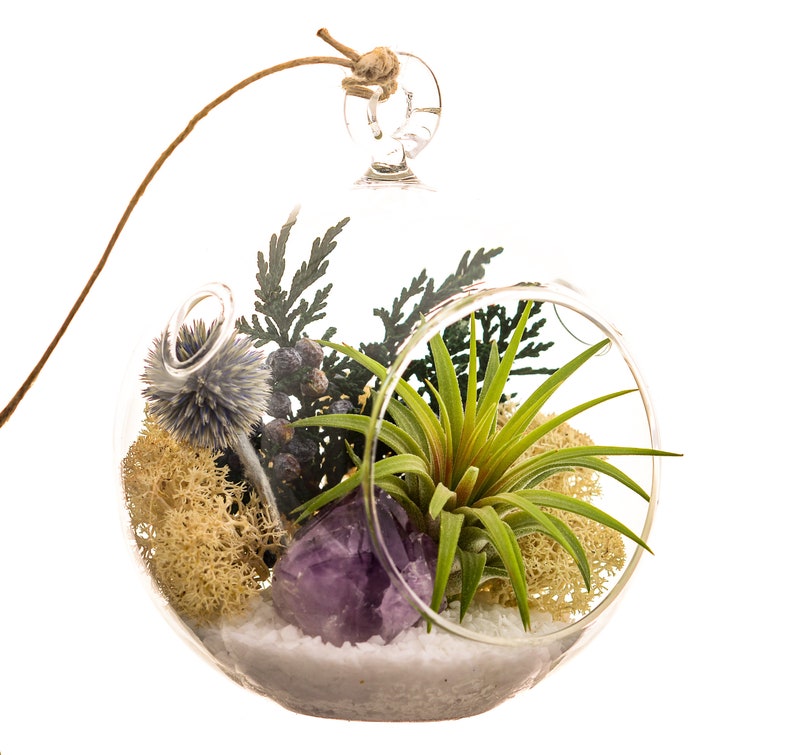 Air Plant Terrarium Kit with Purple Amethyst Crystal / Shabby Chic image 6