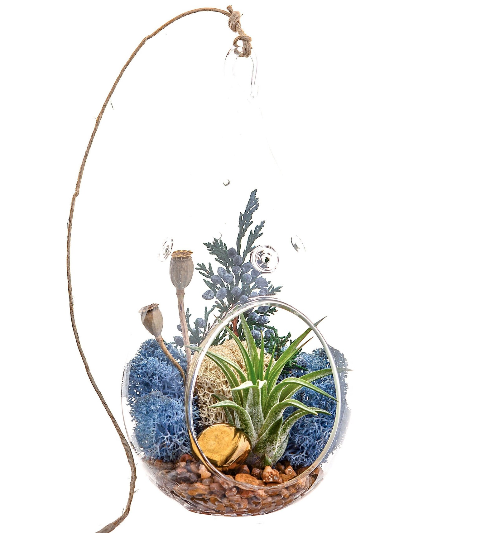 Air Plant Terrarium Kit With Gold Hematite Juniper & Moss / Etsy