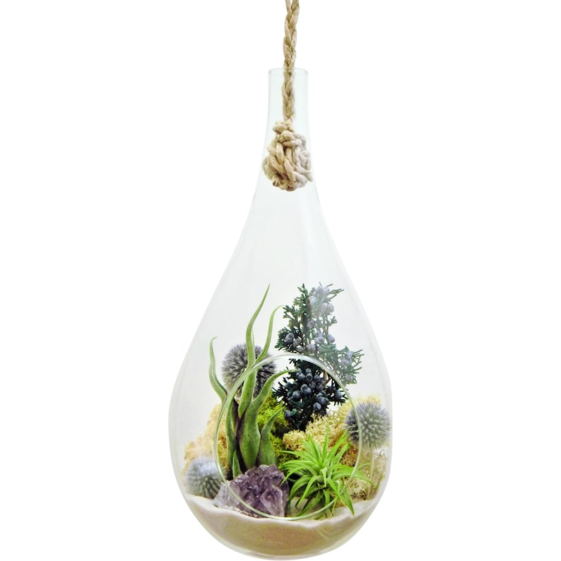 Large Hanging Air Plant Terrarium Kit with Amethyst Crystal / 13 Teardrop Shabby Chic Kit image 1