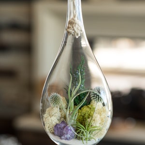 Large Hanging Air Plant Terrarium Kit with Amethyst Crystal / 13 Teardrop Shabby Chic Kit image 4