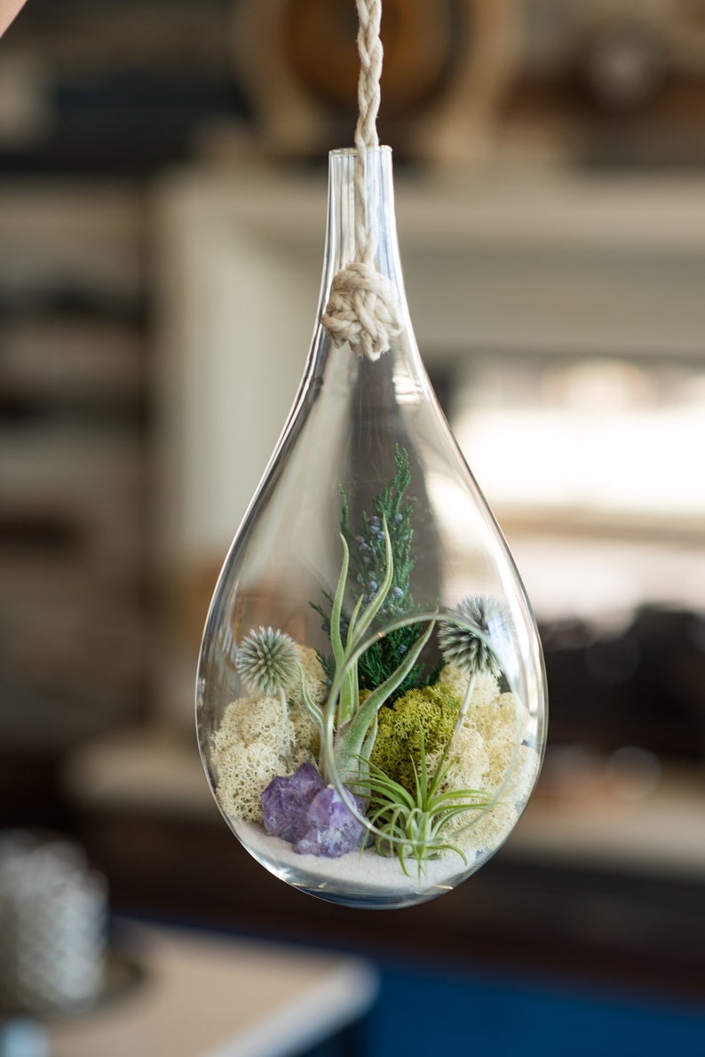 Large Hanging Air Plant Terrarium Kit with Amethyst Crystal / 13 Teardrop Shabby Chic Kit image 4