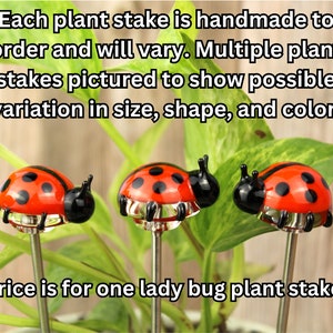 Blown Glass Ladybug Plant Stake, Bug Planter Ornament, House Plant Stakes, Ladybug Decor, Ladybug Gifts, Plant Gifts, Gardener Spring Decor image 2