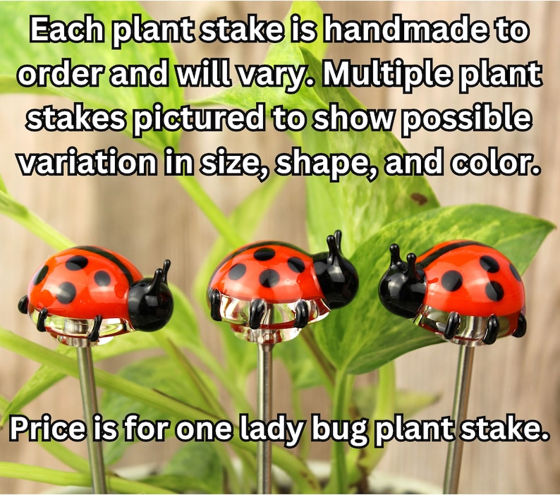 Blown Glass Ladybug Plant Stake, Bug Planter Ornament, House Plant Stakes, Ladybug Decor, Ladybug Gifts, Plant Gifts, Gardener Spring Decor image 2