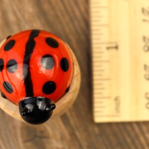 Blown Glass Ladybug Wine Stopper, Ladybug Bottle Cork, Bottle Stop, Bottle Saver, Wine Lover Gift, Ladybug Gift, Wine Gift, Ladybird Gift image 8