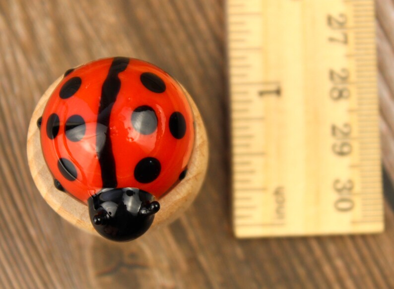 Blown Glass Ladybug Wine Stopper, Ladybug Bottle Cork, Bottle Stop, Bottle Saver, Wine Lover Gift, Ladybug Gift, Wine Gift, Ladybird Gift image 8