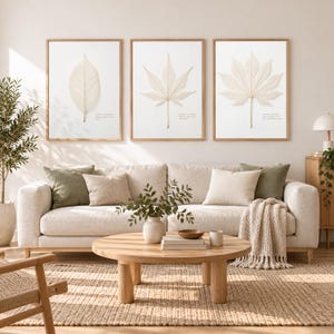 May include: Three framed wall art prints featuring single cream-coloured botanical leaf specimens on a white background, each with small printed text, displayed in light wood frames above a beige sofa with green and cream throw pillows.