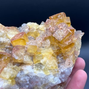 Peut inclure: Un amas de cristaux de fluorine cubiques jaune doré et translucides, poussant sur une matrice minérale brute, pâle et texturée. Le spécimen présente des formations cristallines géométriques nettes avec des niveaux de clarté variés.