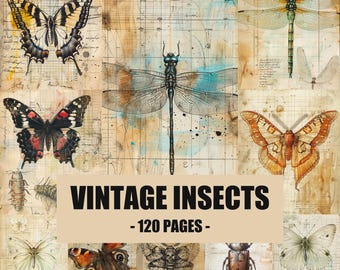 Vintage Insects Junk Journal Pages, Butterfly & Dragonfly Ephemera, Scientific Entomology Illustrations, Dark Academia Scrapbook Paper