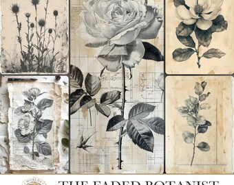 The Faded Botanist, Vintage Junk Journal Kit, Aged Paper Ephemera, Printable Victorian Naturalist Pages, Digital Scrapbook Embellishment