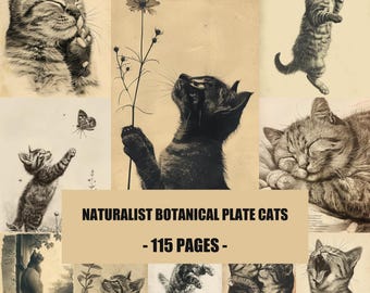 Vintage Cat Junk Journal Pages, Naturalist Botanical Feline Ephemera, Antique Kitten Sketch Scrapbook Paper, Zoology Biology Printables
