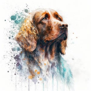 Könnte beinhalten: Eine Aquarellillustration eines braun-weißen Spaniels, der nach oben blickt. Das Kunstwerk zeigt ausdrucksstarke Augen, lange Ohren und eine detaillierte Schnauze, umgeben von lebhaften Farbspritzern in Türkis, Orange und Violett.