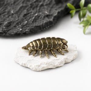 May include: A metallic brass-toned figurine shaped like a woodlouse, featuring a segmented, oval-shaped body with multiple small legs and a detailed, ridged exoskeleton texture, resting on a flat, light-colored, irregular stone surface.