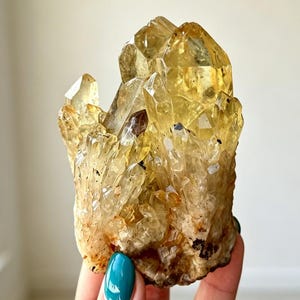 May include: A cluster of translucent yellow citrine quartz crystals with sharp, pointed terminations and multifaceted surfaces. The mineral formation displays varying shades of golden amber and pale yellow, with small dark inclusions visible.