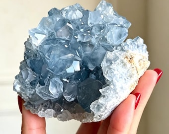 Grappolo di celestite naturale grezza, qualità di grado A, campioni di grappolo di celestite grezza, gemma grezza, guarigione Reiki, regalo di cristallo energetico 1 pezzo