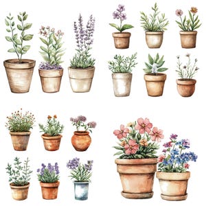 May include: A collection of watercolor illustrations featuring various potted plants and flowers in terracotta-colored containers. The set includes diverse greenery, lavender, and blooming flowers in shades of pink, purple, and orange, all isolated on a white background.