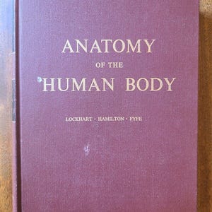 Anatomy of the Human Body by R.D. Lockhart Hardcover 1959