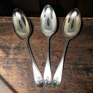 May include: Three silver-toned metal spoons with a polished finish and a reflective surface. Each spoon features a slender handle that widens at the base, decorated with a small, embossed three-leaf clover or maple leaf motif at the bottom end.