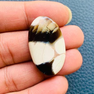 May include: An oval-shaped cabochon gemstone featuring a smooth, polished surface with a distinct pattern of creamy off-white and deep dark brown sections. The stone displays natural veining and color blocking throughout its rounded form.