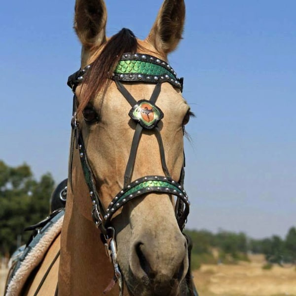 Medieval Fantasy Dragon Scale Headstall - Made to Order