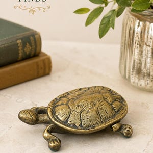 May include: A brass turtle figurine with a textured shell and detailed limbs. The metal surface features a dark, aged patina with visible highlights. The turtle is positioned in a stationary pose with its head extended forward and legs splayed.