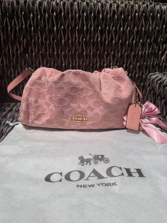 Pink Faye coach bag