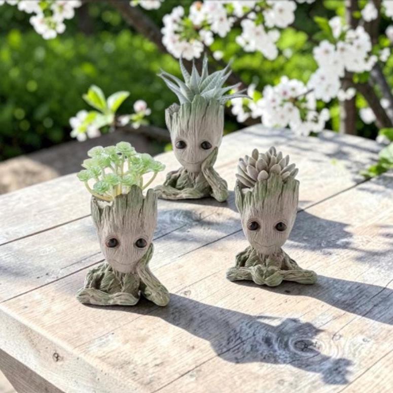 グルート多肉植物 - Etsy 日本